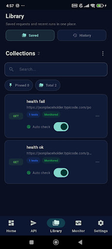API Client -REST & HTTP Tester screenshot 3
